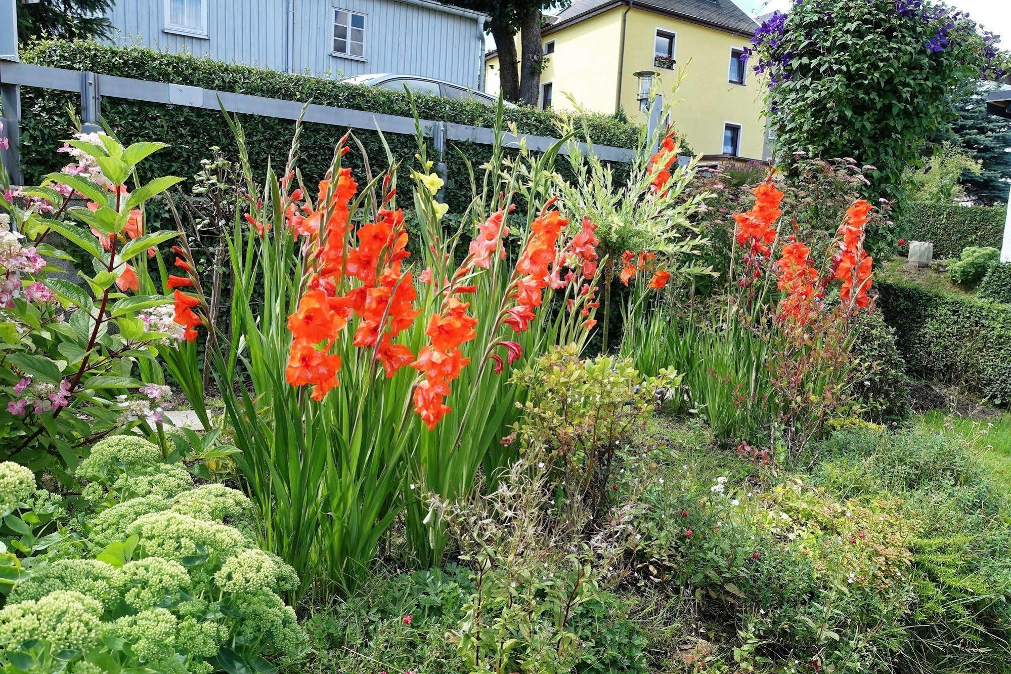 Ferienwohnung Haus Feig Geyer Esterno foto
