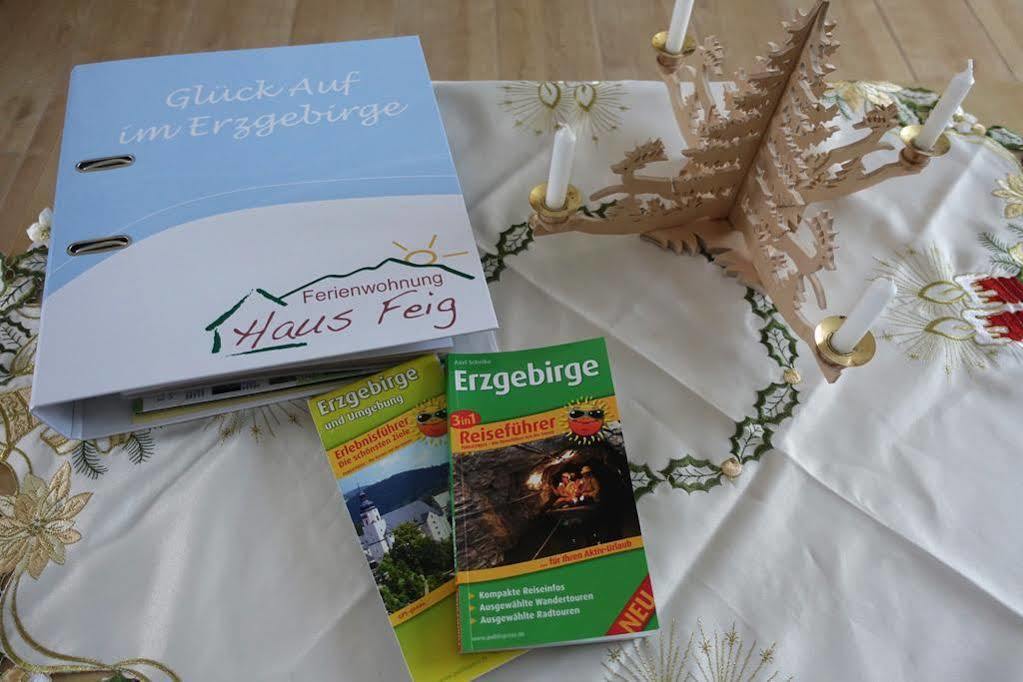 Ferienwohnung Haus Feig Geyer Esterno foto