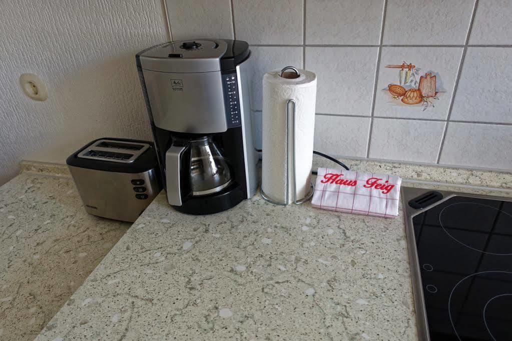 Ferienwohnung Haus Feig Geyer Esterno foto